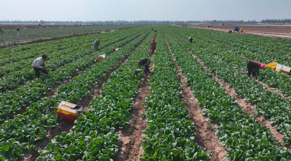 微信圖片_20250512164734.jpg 微信圖片_20250512164734.jpg