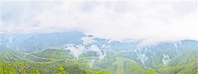     清晨，薄霧籠罩六盤山。