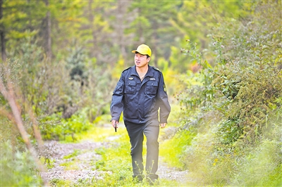     護林員馬成君踏上巡山路。