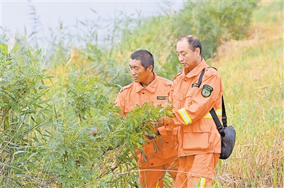     青銅峽庫區(qū)濕地自然保護(hù)區(qū)工作人員開展日常巡護(hù)工作。