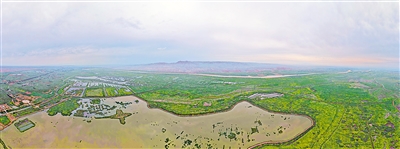     青銅峽庫區(qū)濕地自然保護(hù)區(qū)是我區(qū)最大的黃河灘涂類型濕地自然保護(hù)區(qū)。